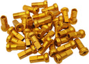 MX1 9 Gauge Nipple Set Gold