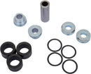 A-Arm Bearing And Seal Kit Black / Chrome For Standard Models