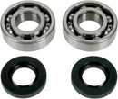 Crankshaft Bearing And Seal Kit | Vendor no: 24-1035