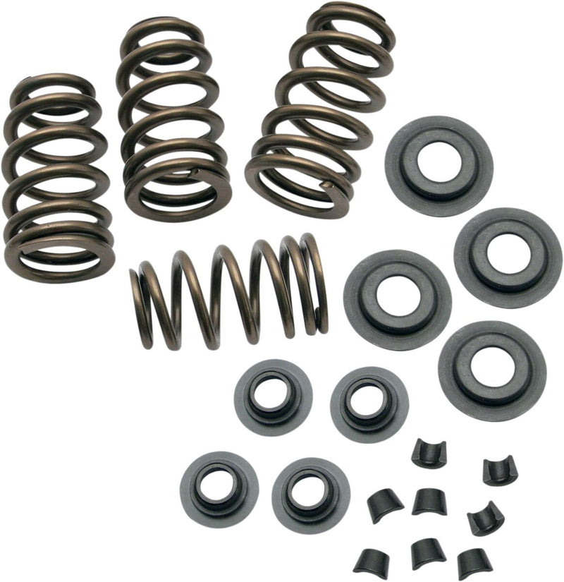 Valve Spring Kit Sidewinder - 0.650 Inch | Vendor