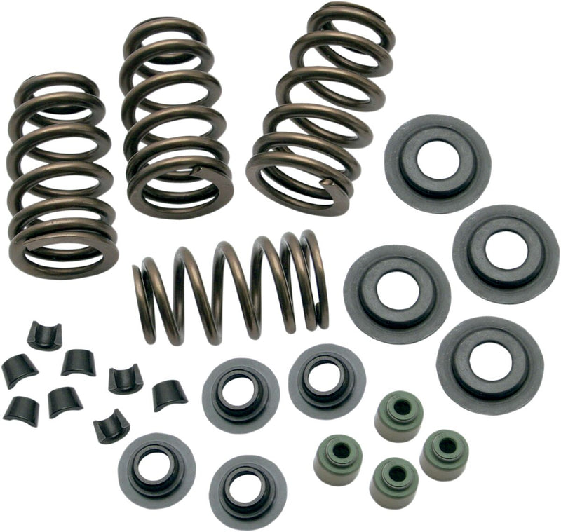 Valve Spring Kit Sidewinder - 0.650 Inch | Vendor