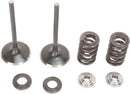Stainless Intake Valve And Spring Kit | Vendor no: M3031230