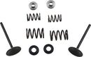 Stainless Intake Valve And Spring Kit | Vendor no: M60-60850