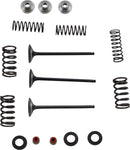 Stainless Intake Valve And Spring Kit | Vendor no: M80-80850