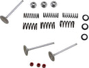 Stainless Intake Valve And Spring Kit | Vendor no: M80-80950