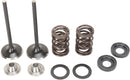 Stainless Exhaust Valve And Spring Kit | Vendor no: M96-96360