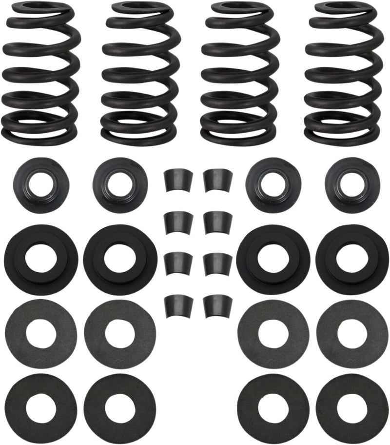 Valve Spring Kit | Vendor