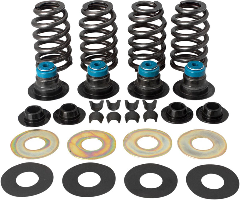 Valve Spring Kit | Vendor