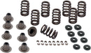Valve Spring Kit | Vendor