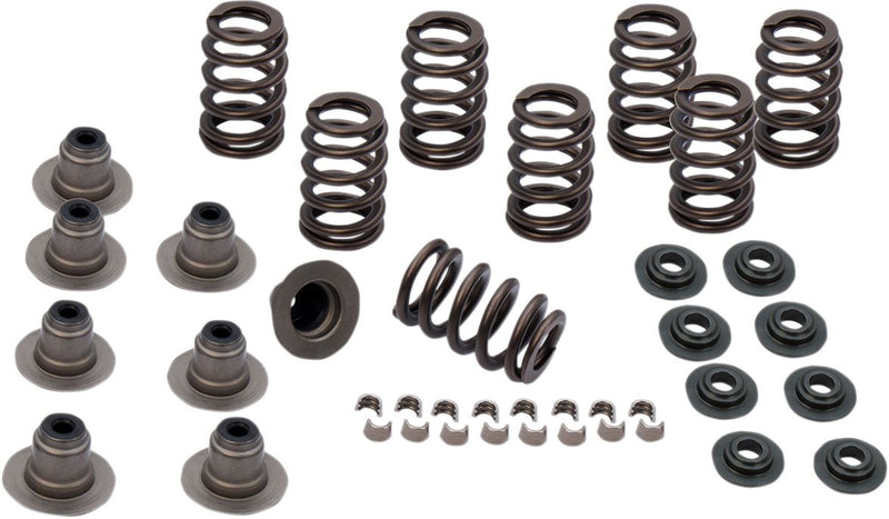 Valve Spring Kit | Vendor