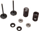 Stainless Intake Valve And Spring Kit For Yamaha YZ 250 F