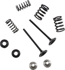Stainless Exhaust Valve And Spring Kit For KTM 450 XC-F