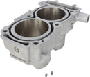 Replacement Cylinder | Vendor no: MSE60001
