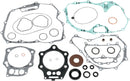 Complete Gasket And Oil Seal Kit | Vendor no: 811896