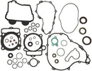 Complete Gasket And Oil Seal Kit | Vendor no: 811373