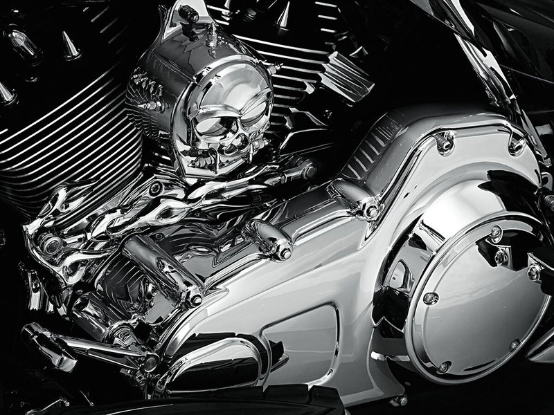 Inner Primary Cover HD Touring Chrome