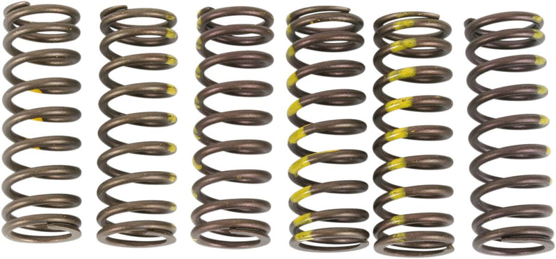 Clutch Spring Set Black For Suzuki RM-Z 450 - 05-19