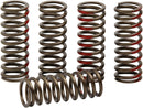 Clutch Spring Set Bronze For Honda CRF 250 R - 18
