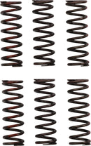 Clutch Spring Set For Honda CRF 450 R - 21-22