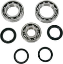 Bearing / Seal Kit | Vendor no: 25-2062
