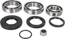 Bearing / Seal Kit | Vendor no: 252102