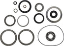 Differential Bearing Kit Kawasaki KVF 750 Brute Force 4x4i