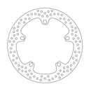 Halo Series Fixed Front Brake Rotor For BMW F 800 R 2009-2012