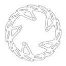 Flame Series Fixed Front Brake Rotor Silver For Kawasaki EX 300 2013-2016