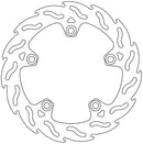 Flame Series Fixed Front Brake Rotor Silver For BMW C Evolution ABS 2014-2016