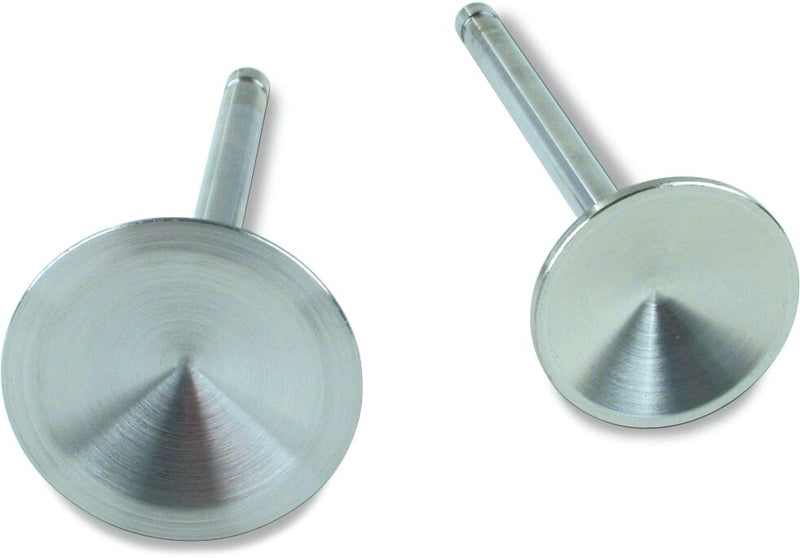 Replacement Stainless Steel Intake Valves - 2 Inch