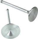 Replacement Stainless Steel Intake Valves - 1.940 Inch