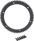 OEM-Replacement Starter Ring Gear Natural - 66T