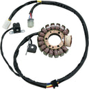 Stator | Vendor no: M-21-916