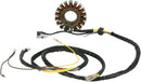Stator | Vendor no: M21-558