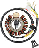 Stator | Vendor no: M-21-816