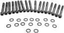 Socket-Head Primary Cover Bolt Kit Knurled Black / Chrome For Harley Davidson XL 1200 C 2004-2016