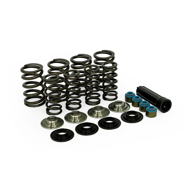 Valve Spring Kit Titanium Standard To 650" Lift For 05-17(NU)Twin Cam / 04-21 XL / 08-12(NU)XR1200 / 03-10(NU)Buell XB