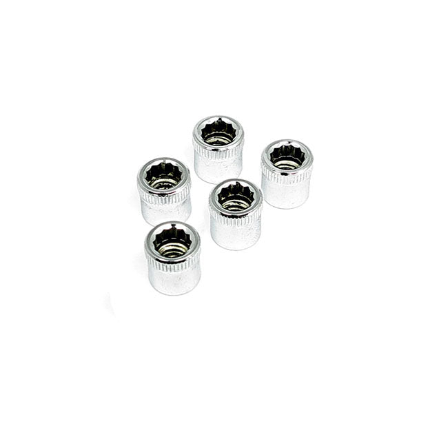 Chrome Allen Nut - 1/4-20 Inch