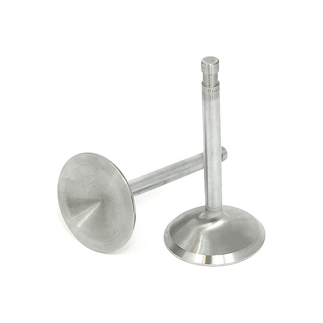 Severe Duty Stainless Valves / Intake Standard For 57-69 XL (NU)