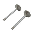 Race Master Stainless Valves / Exhaust Standard For 05-17 Twin Cam (NU)