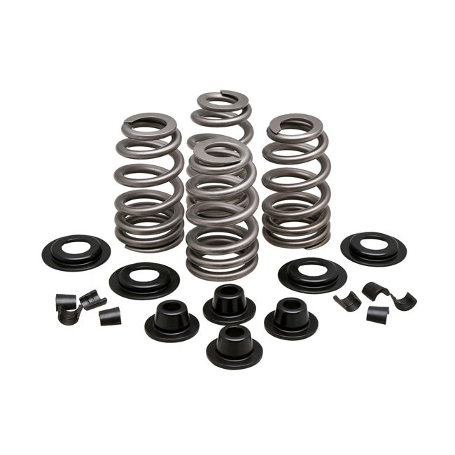 Beehive Valve Spring Kit Steel - .610 Inch Lift For 84-04 B.T.