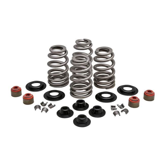 Beehive Valve Spring Kit Steel - .610 Inch Lift For 05-17 NU Twin Cam