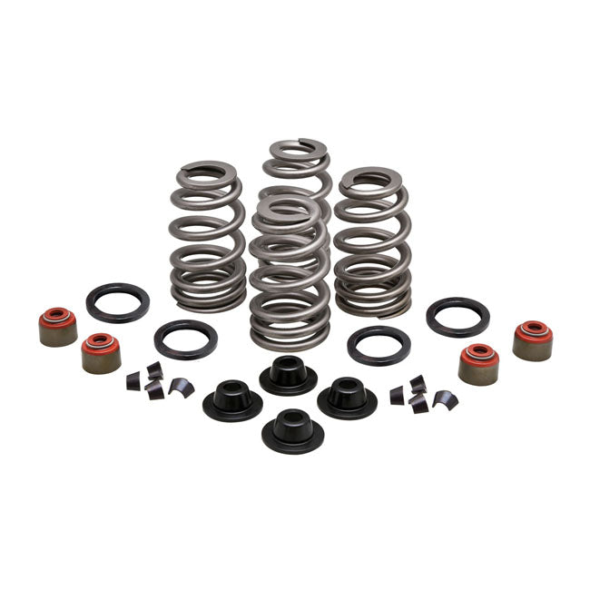 Beehive Valve Spring Kit - .630 Inch Lift