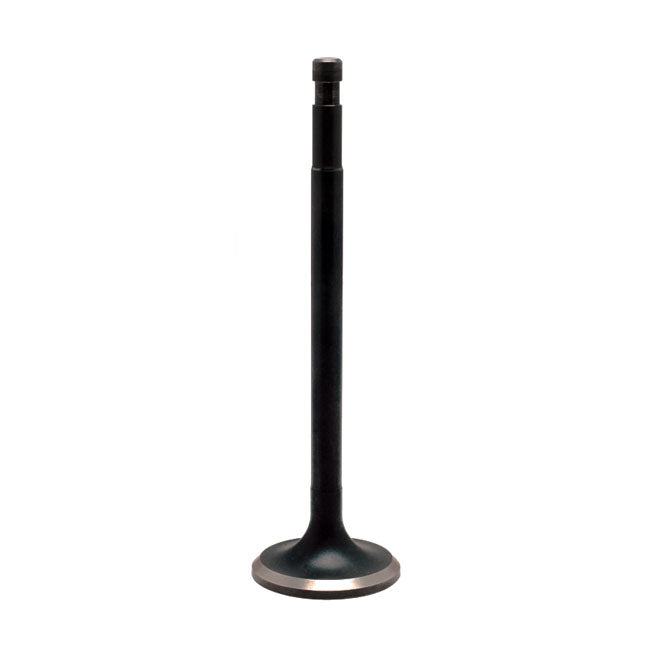 Standard Black Diamond Intake / Exhaust Valve