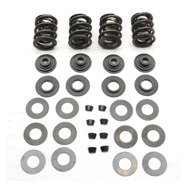 Valve Spring Kit Titanium Top Collars .590" Lift