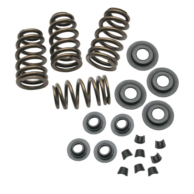 Sidewinder Valve Spring Kit - .650 Inch Lift