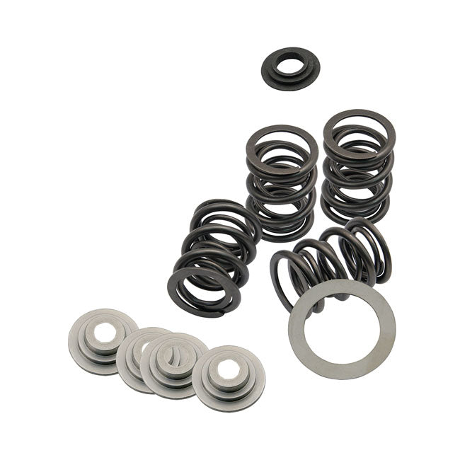 Valve Spring Kit Standard To .480" Valve Lift