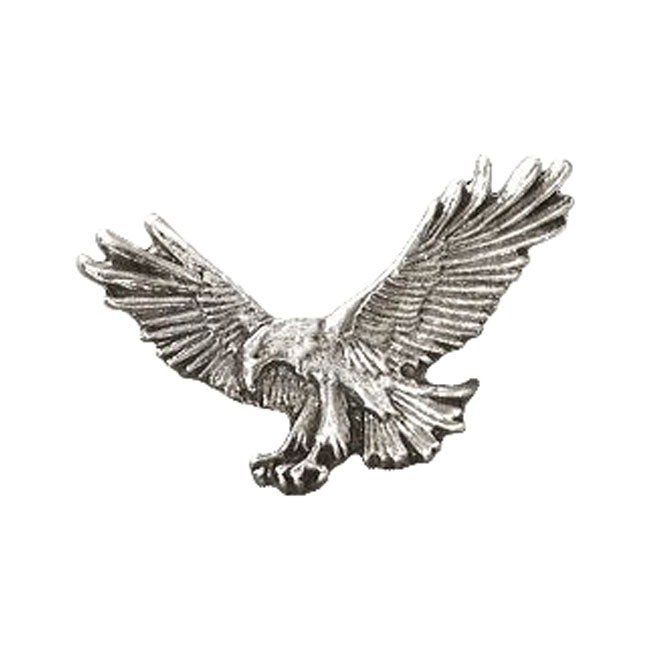 Fishing Eagle Pin