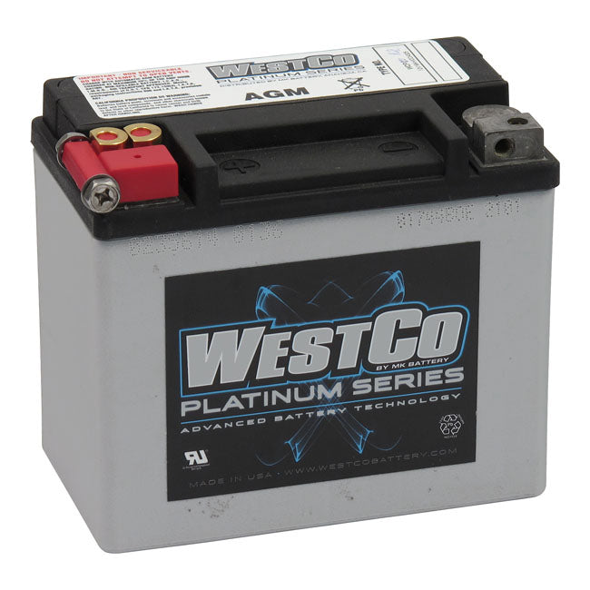 Sealed AGM Battery - 12 Volt / 10 Amp / 180CCA