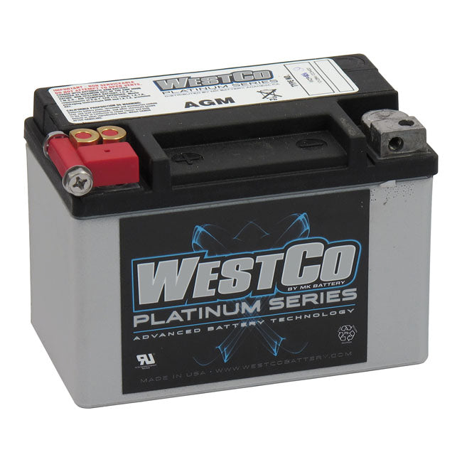 Sealed AGM Battery - 12 Volt / 8 Amp / CCA120